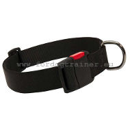 Collar Nailon para Perros para Paseos, Deporte y Doma [C41##1057 Collare in nylon per cane]