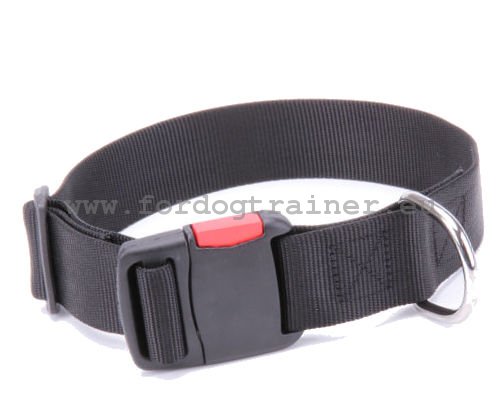 Nylon Halsband fuer Hund