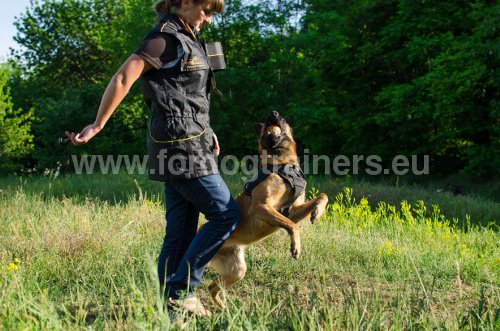 
Schutzweste von Fordogtrainers reissfest