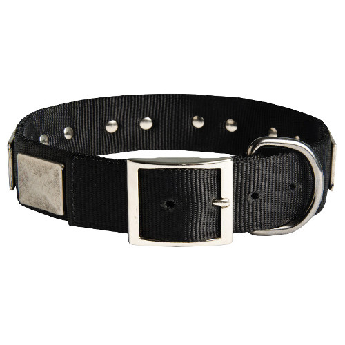 klassisches  Nylon Hundehalsband mit Schnalle