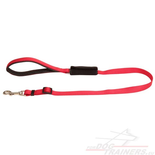 Car Travel
Lead for Dog