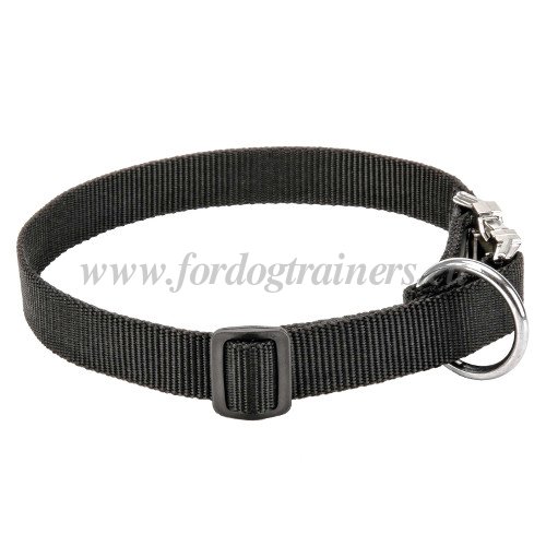 Lightweight Dog Collar