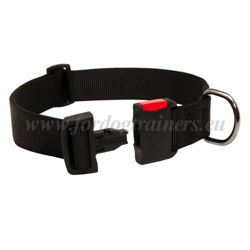 Buy Dog Collar