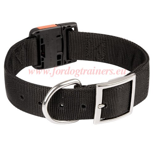 Nylon Dog
Training Collar