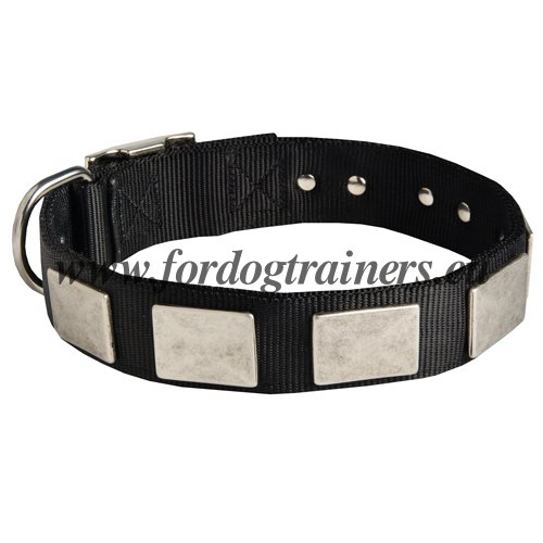 Nylon Dog Collars Suppliers Online