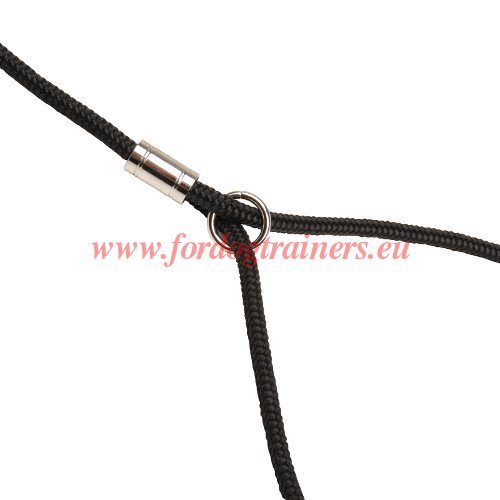 White Nylon Dog Leash Show Type