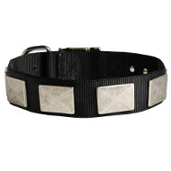 Collier en nylon pour chien Plaques Nickeles