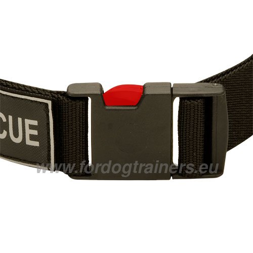Nylon Dog Collar Easy to Put On
