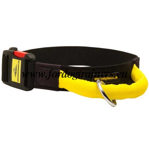 Dog Collar with Handle