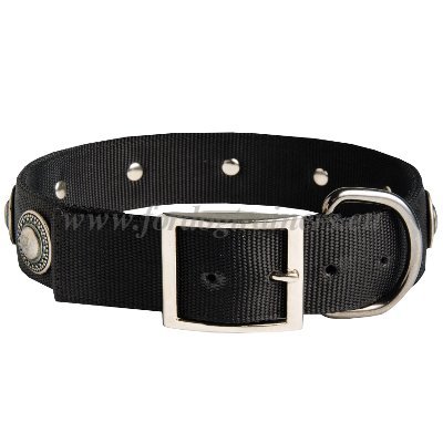 Handcrafted Nylon Collar for Extra Large Dogs