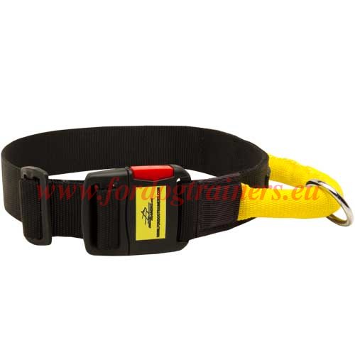 Nylon Collar for Dog Training