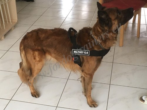 Dog Harness for Police Dogs