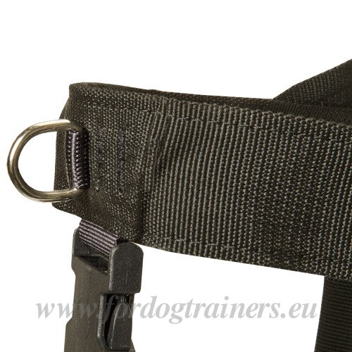 Dog Harness Weight Pulling with Rings