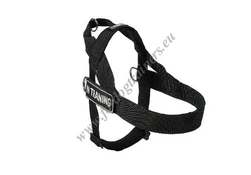 Nylon Training Lead for Dogs Waterproof