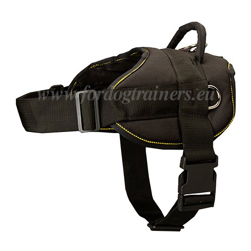 Bulldog Training Accessories - Harness Handmade Nylon