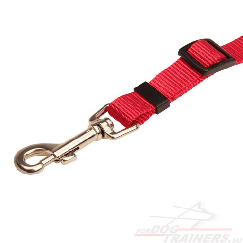 Red Nylon Leash To Fasten the Dog in Car