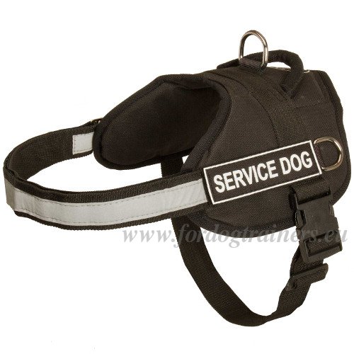 Multitask Harness for Dogs
