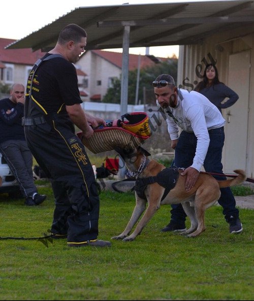 Training mit unserem Hetzarm