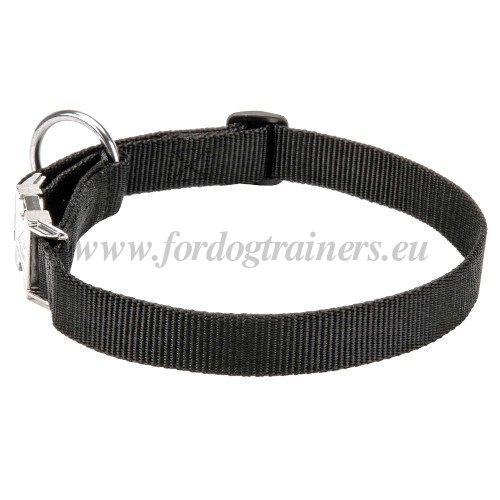 Practicable Nylon Dog Collar