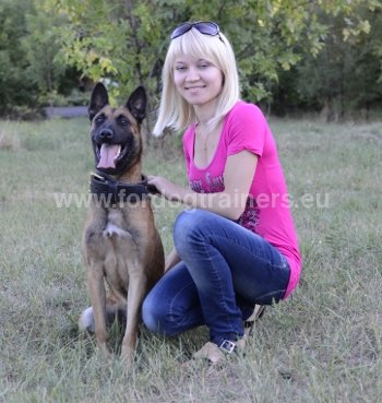 Eduquer son chien soi-même