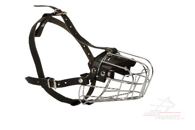 Basket Dog Muzzle for Collie Aggression with Padding