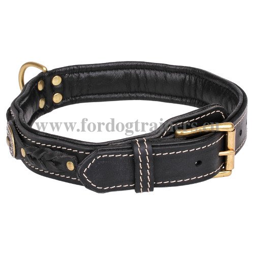 Braided Leather Collar for Medium Dog