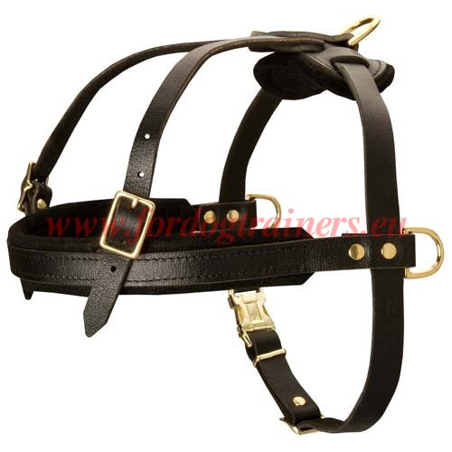 Strap Dog Harness for Shepherd Dog