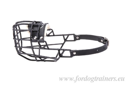 Winter dog Muzzle for Malinois