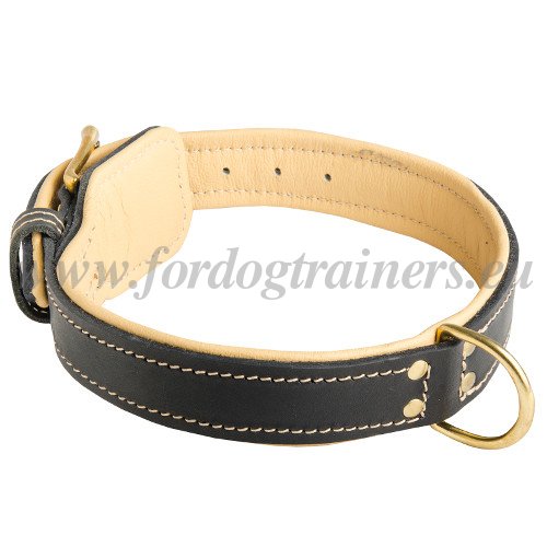 Leather Collar for Large and Medium Dogs