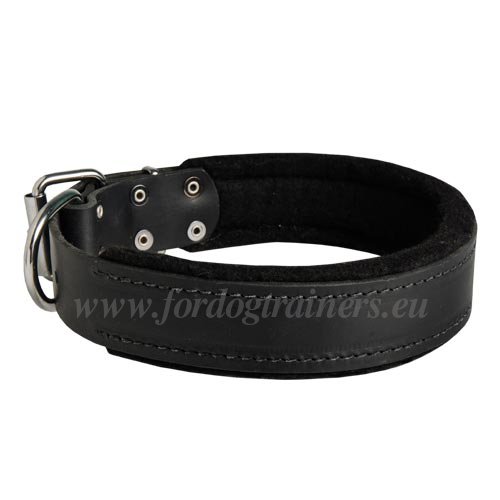 Professional Leather Agitation Collar