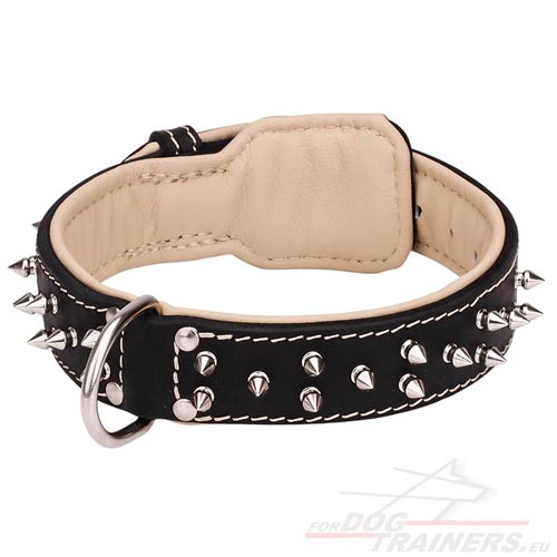 2-ply Leather Collar with Nappa