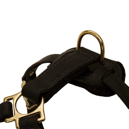 Luxury Padded Leather Dog Harness for Doberman