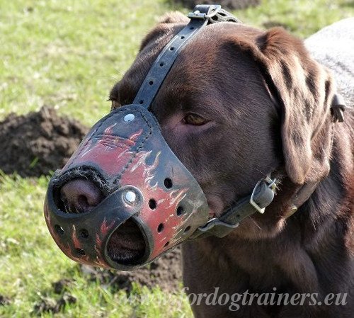 Dog Muzzle with Handmade Painting