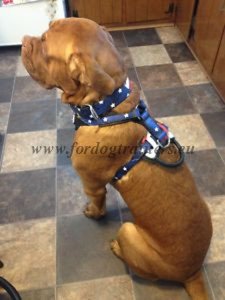 Adjustable Harness Handmade for Big Dog