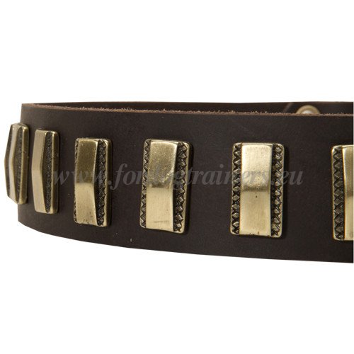 Dog Collar Buckle