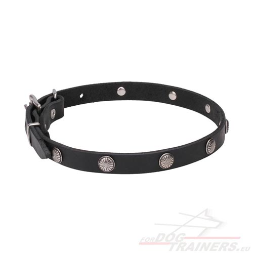 Luxury Pet Collar