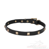 Honden halsband leer Dog Collar Brass Pyramids ☜