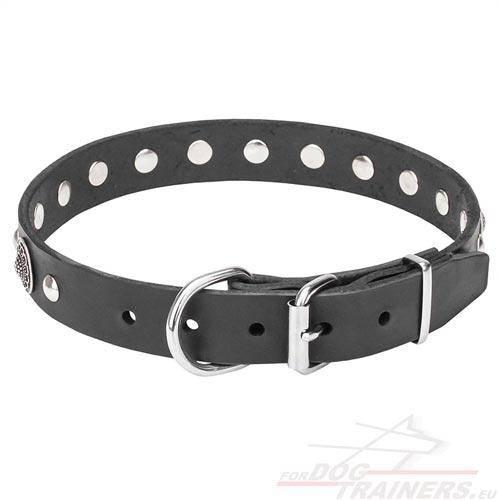 Pet Collar Leather 30 mm Wide