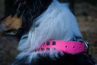 Pink Lederhalsband fuer Collie