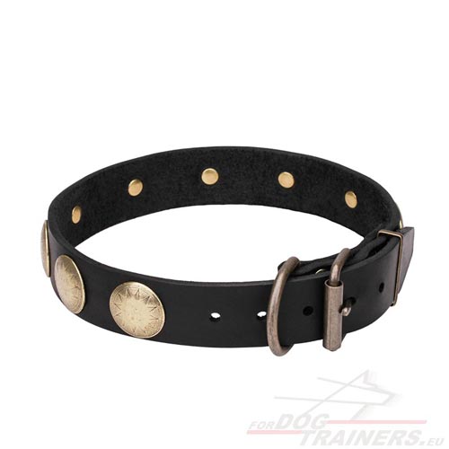 medium Dog Leather Collar