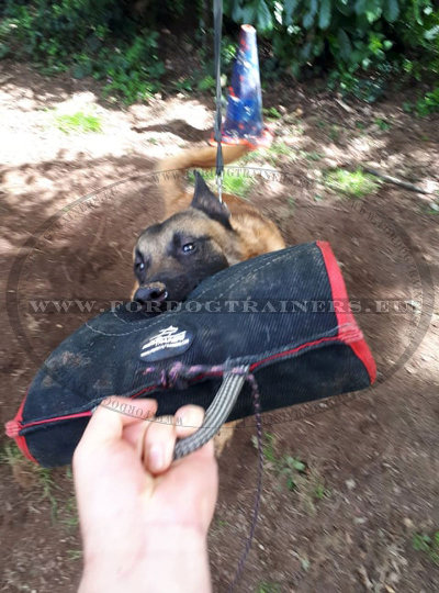 K9 Dog Biting Pad for Training with Handle
