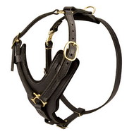 Padded Dog Harness, Exclusive Leather
                    Handcrafted ITEM!