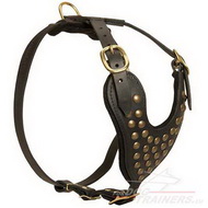 Studded Walking Dog Leather Harness