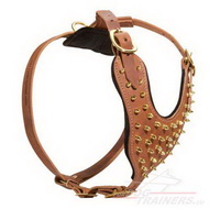 Aus Leder gefertigtes Hundegeschirr mit Gold Spikes