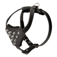Padded walking dog harness with spikes for small breeds