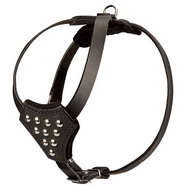 Padded walking dog harness with studs for small breeds