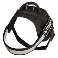 Nylon reflective multi-purpose dog harness