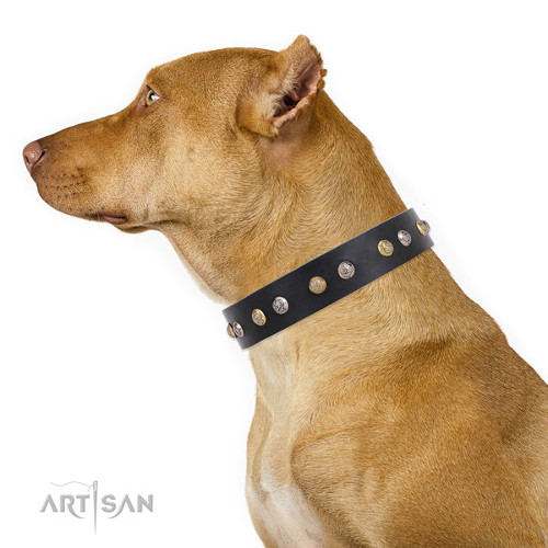 Awesome Dog Collar for Big Dogs Handmade