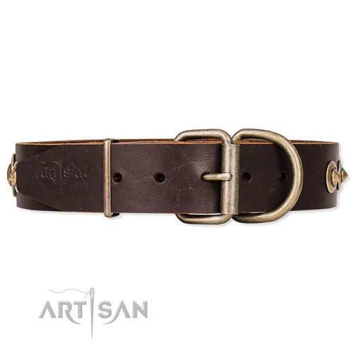 Chocolate Brown Leather Collar with Brass-plated Buckle