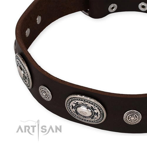 Handmade Leather Dog Collars New Collection FDT
